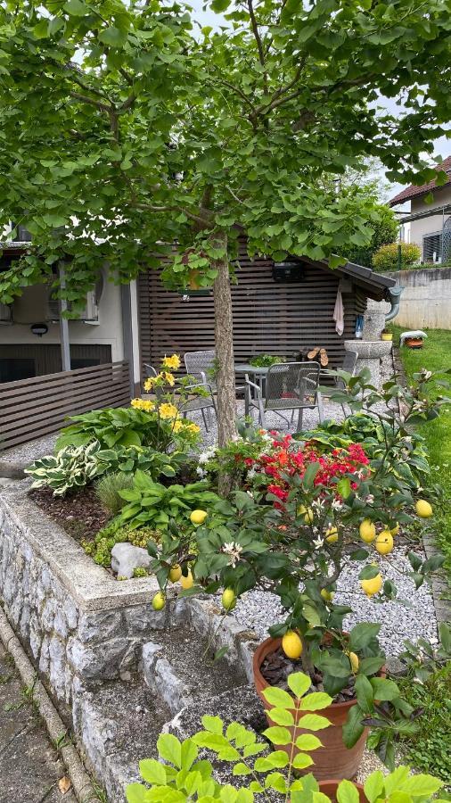 Apartma Nomad 노보메스토 외부 사진